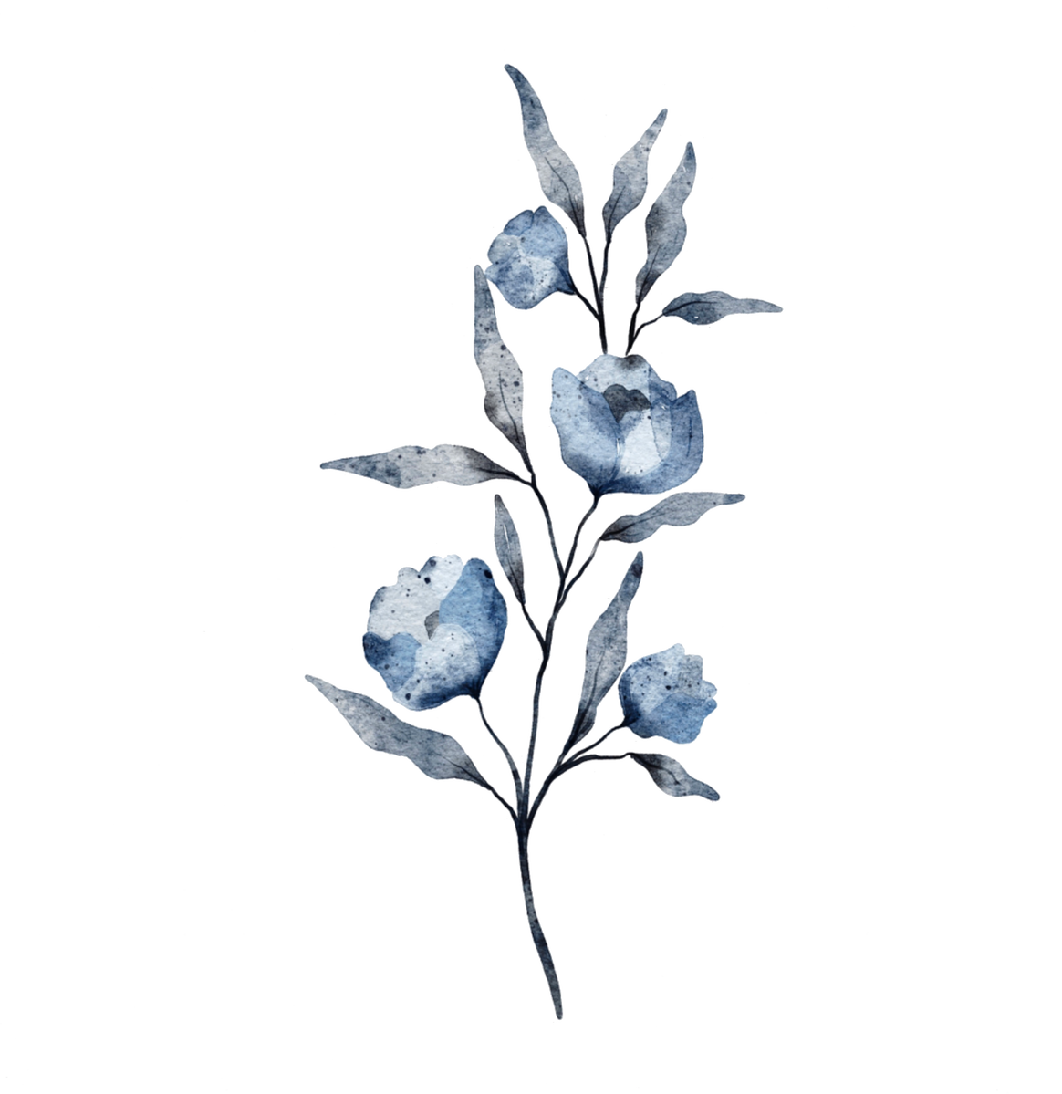 Watercolor Flower Illustration
