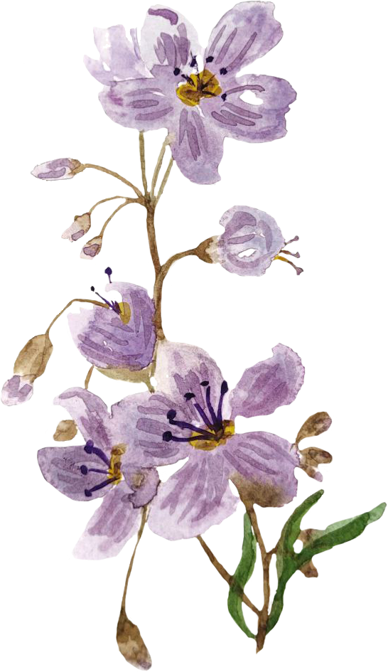 loose watercolor floral purple